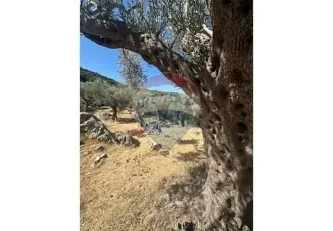 Sale, land lot, 1546m², Bartula, Bar - image 8