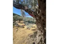 Sale, land lot, 1546m², Bartula, Bar - image 8