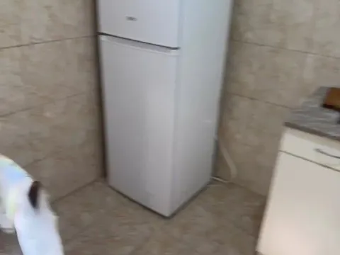 Prodaja, kuća, 144m², Bela Crkva, Srbija - image 5