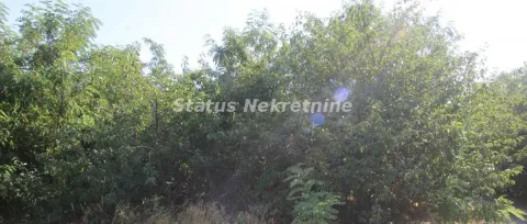 Sale, land lot, 6396m², Šangaj, Novi Sad Sve Podlokacije - image 15