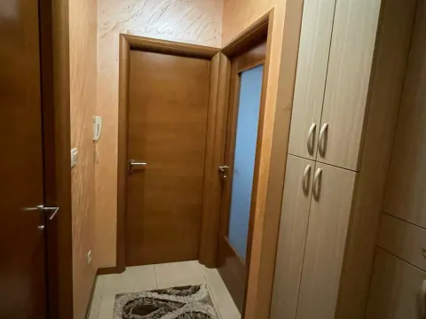 Izdavanje, jednosoban stan, 40m², Stari Aerodrom, Podgorica - image 4