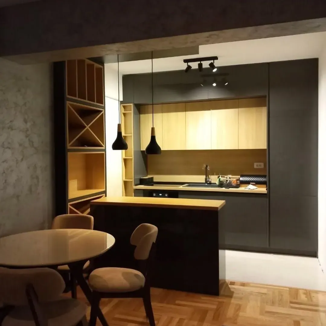 Izdavanje, jednosoban stan, 46m², Tuški Put, Podgorica