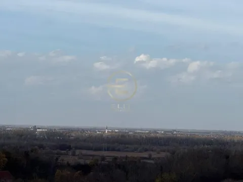 Sale, land lot, 24207m², Beočin, Srbija - image 13