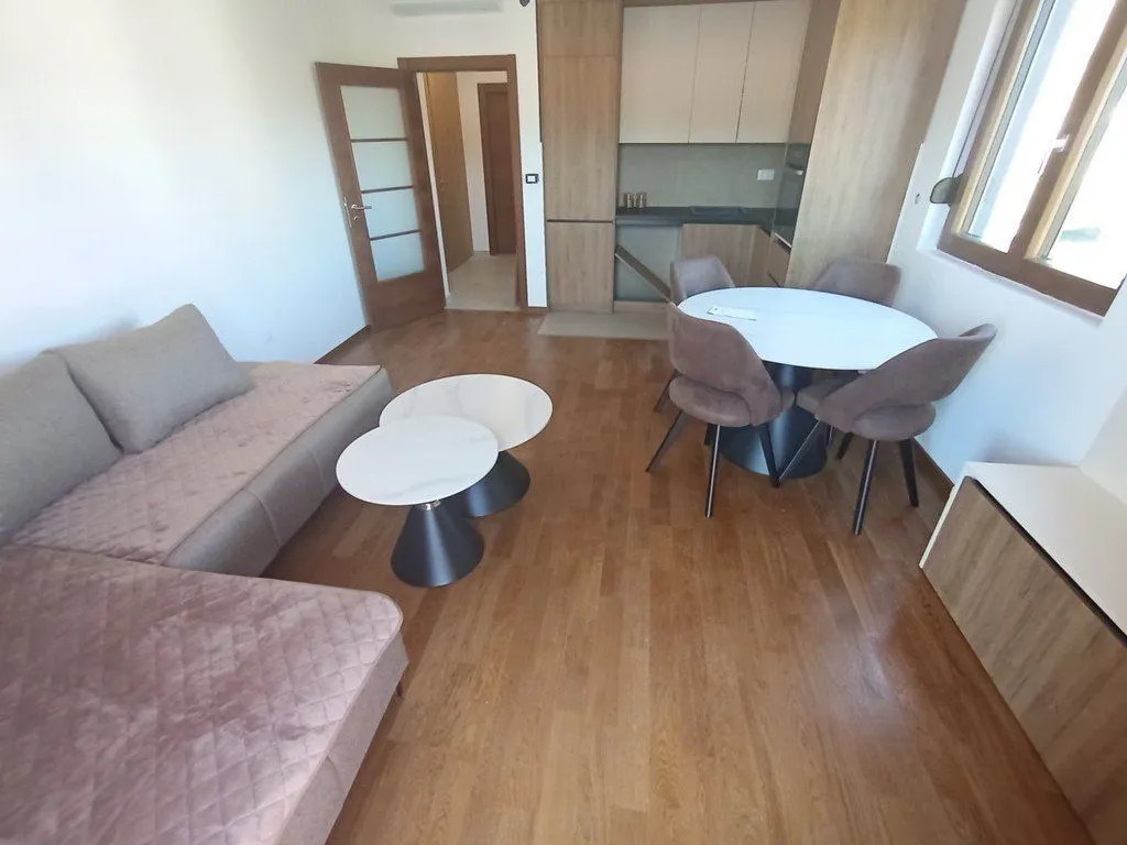 Izdavanje, jednosoban stan, 50m², Centar, Podgorica