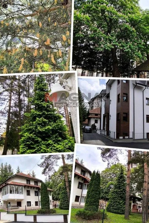 Prodaja, kuća, 300m², 25. Maj, Zlatibor