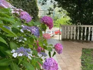 Prodaja, jednosoban stan, 89m², Kotor, Crna Gora - image 3