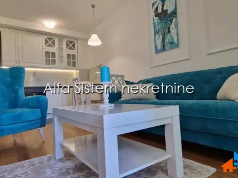 Izdavanje, dvosoban stan, 50m², Novi Beograd Blok 63, Novi Beograd Sve Podlokacije - image 3