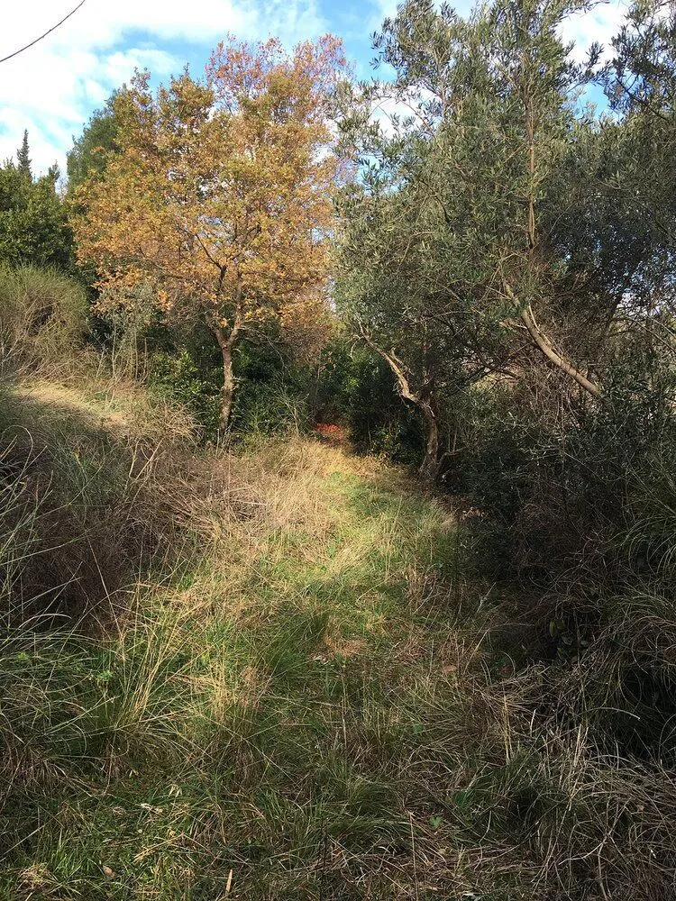 Prodaja, plac, 1m², Kotor, Crna Gora