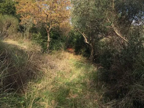 Prodaja, plac, 1m², Kotor, Crna Gora - image 3