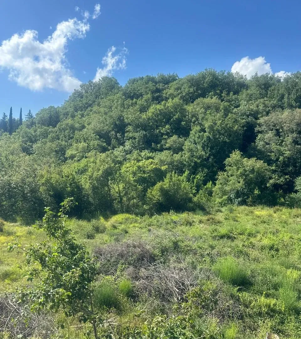 Sale, land lot, 751m², Radanovići, Kotor