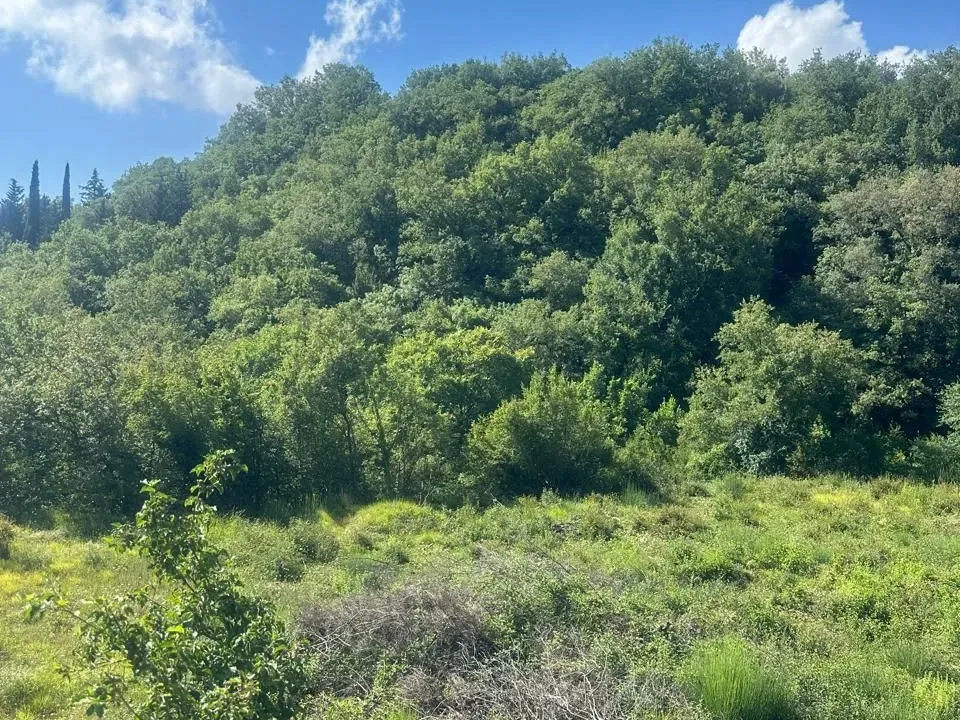 Prodaja, plac, 751m², Radanovići, Kotor