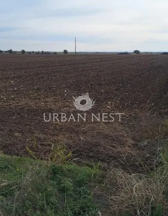 Sale, land lot, 22750m², Zemun Ugrinovci, Zemun Sve Podlokacije