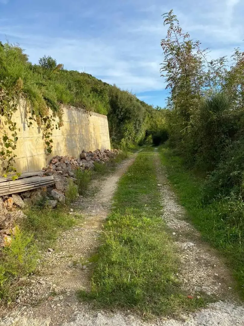 Zemljani put i zelena površina oko nekretnine.