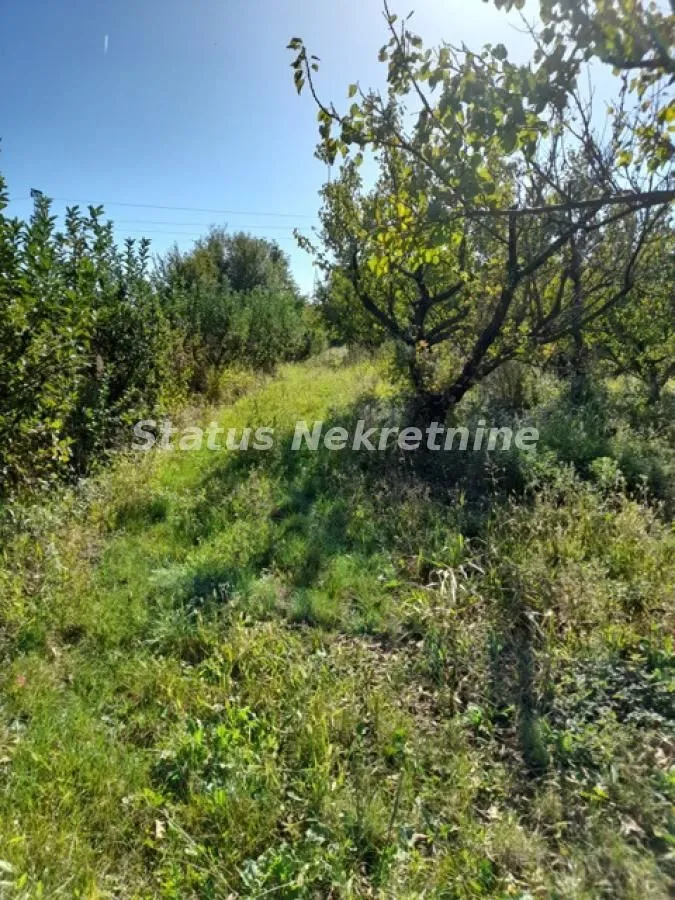 Prodaja, plac, 118m², Ledinci, Petrovaradin