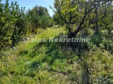 Sale, land lot, 118m², Ledinci, Petrovaradin - image 3
