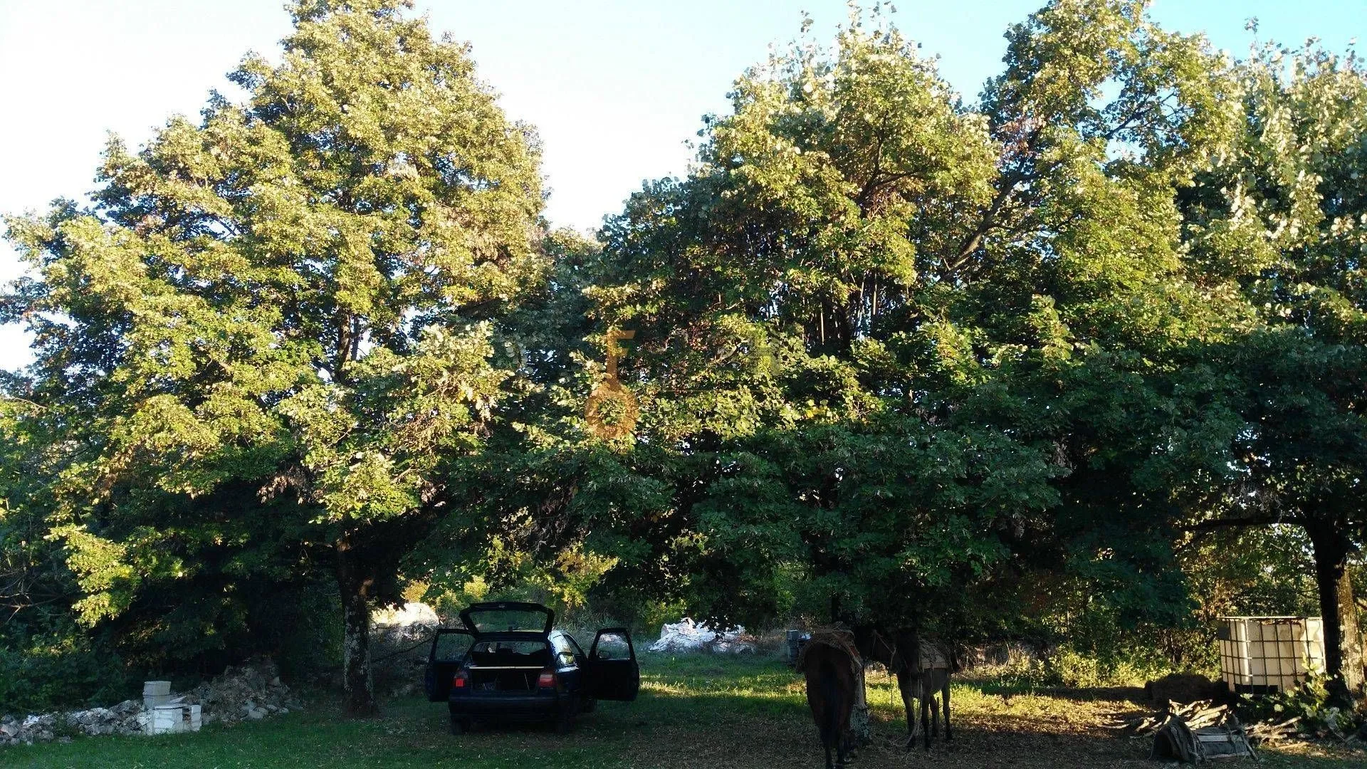 Prodaja, plac, 28000m², Danilovgrad, Crna Gora