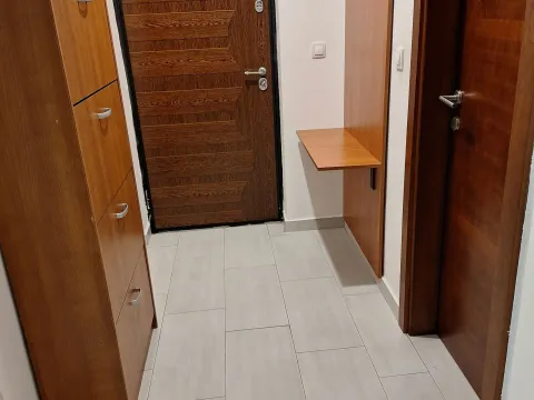 Rent, one bedroom apartment, 45m², Tuški Put, Podgorica - image 10