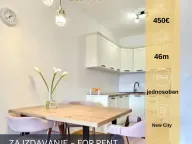 Rent, one bedroom apartment, 46m², New City, Podgorica