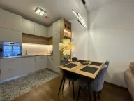 Izdavanje, jednosoban stan, 55m², Podgorica, Crna Gora - image 4