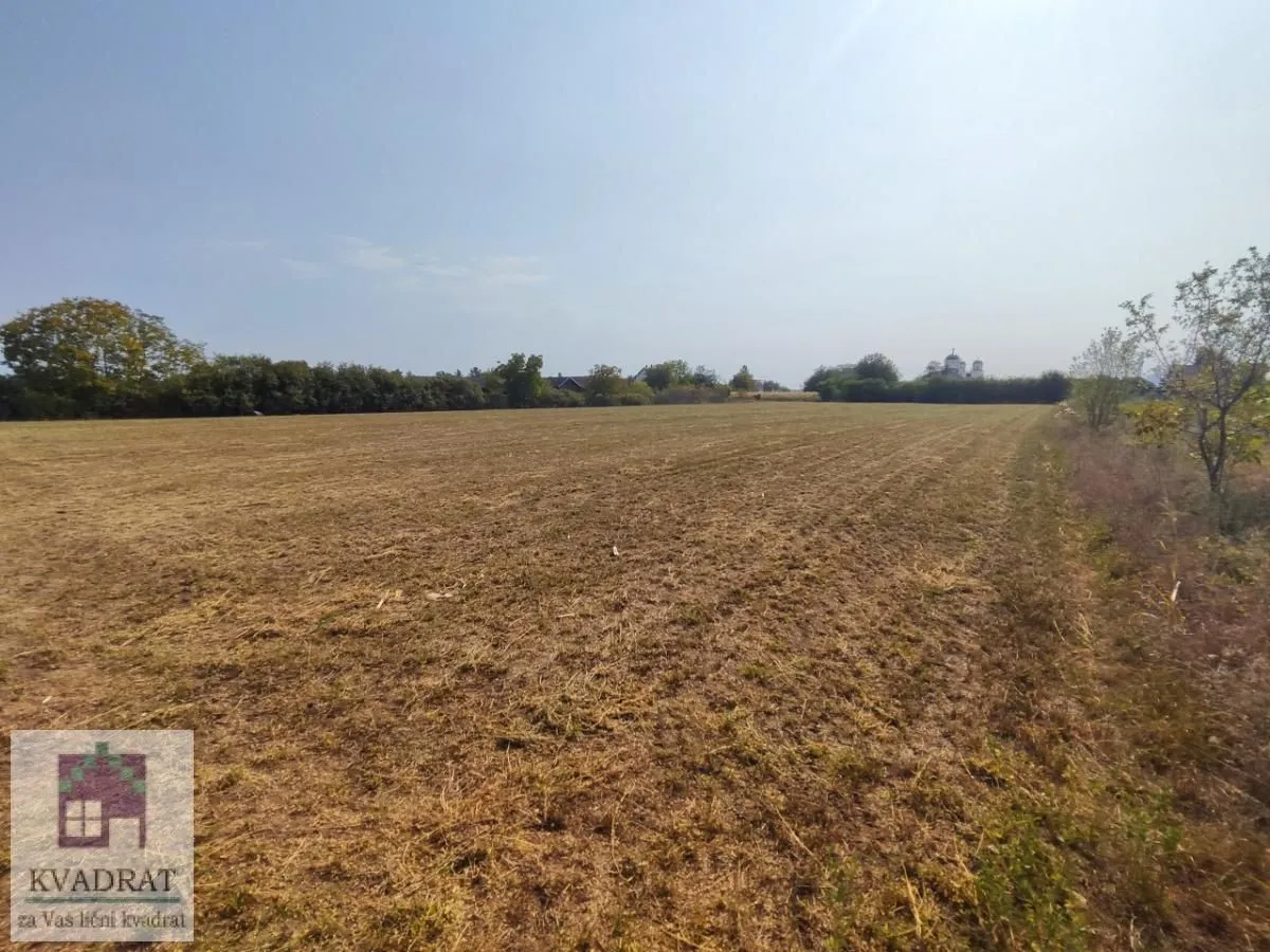 Prodaja, plac, 6448m², Skela, Obrenovac