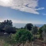 Prodaja, plac, 376m², Budva, Crna Gora - image 16