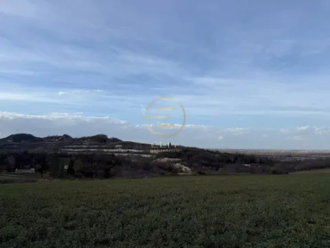 Sale, land lot, 24207m², Beočin, Srbija - image 7