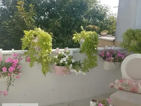 Sale, three bedroom apartment, 57m², Šabac, Srbija - image 21