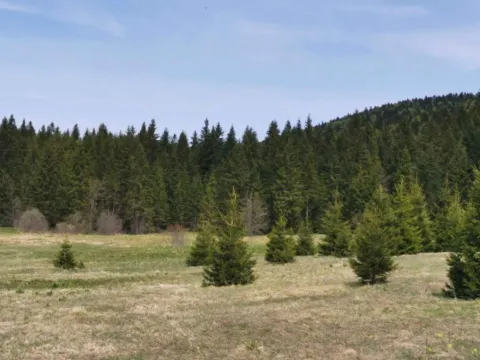 Prodaja, plac, 8600m², Tara, Srbija - image 7