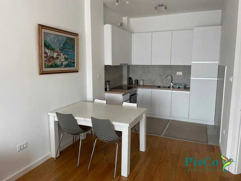 Rent, one bedroom apartment, 47m², Centar, Podgorica