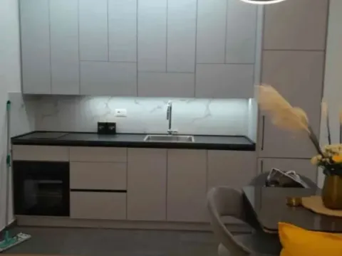 Izdavanje, jednosoban stan, 50m², Zagorič, Podgorica