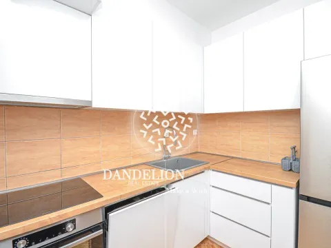 Izdavanje, jednosoban stan, 40m², Blok 9, Podgorica - image 10