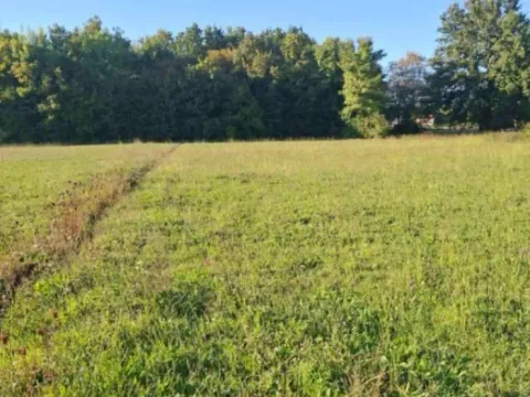 Sale, land lot, 2881m², Begovina, Danilovgrad - image 3