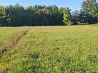 Prodaja, plac, 2881m², Begovina, Danilovgrad - image 3