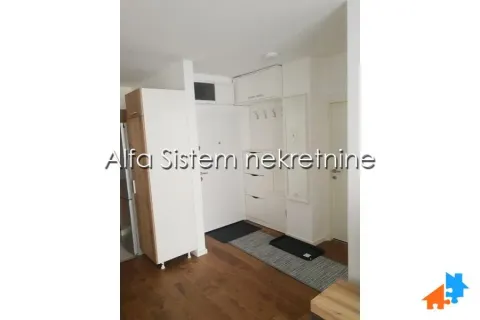 Rent, two bedroom apartment, 46m², Višnjička Banja, Palilula Sve Podlokacije - image 20