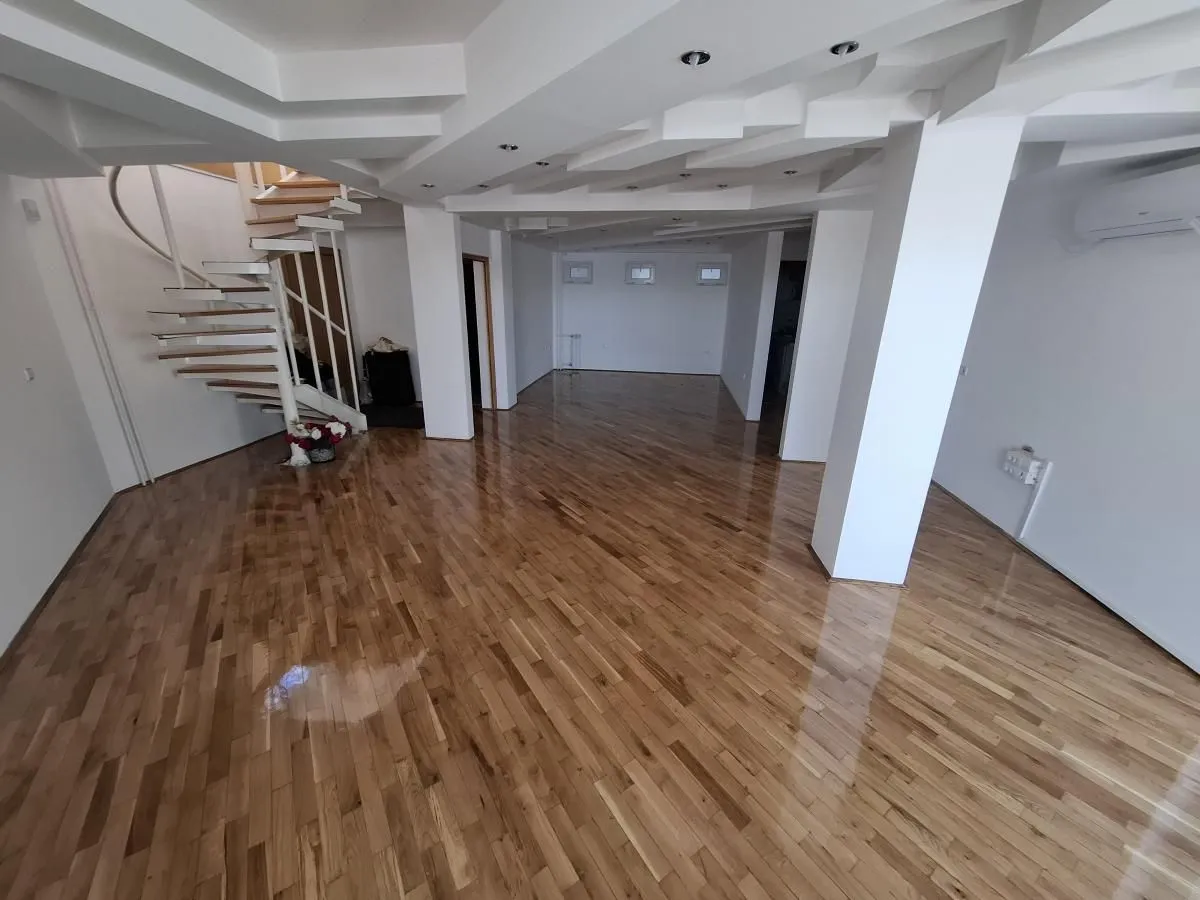 Izdavanje, stan, 220m², Centar, Novi Sad