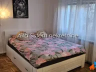 Izdavanje, dvosoban stan, 48m², Slavija, Vračar Sve Podlokacije - image 9