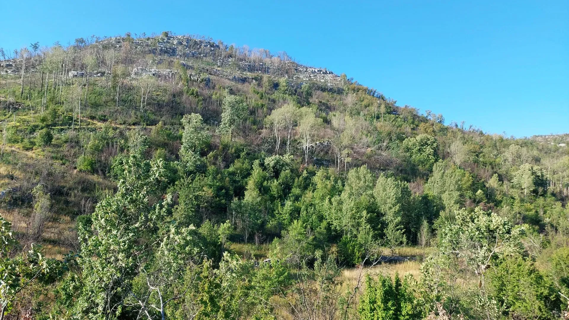 Prodaja, plac, 480000m², Nikšić, Crna Gora