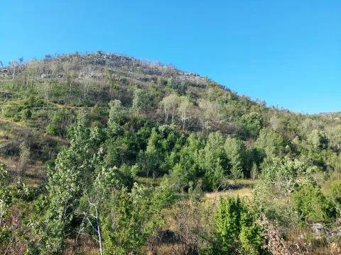 Prodaja, plac, 480000m², Nikšić, Crna Gora - image 2