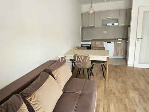 Rent, one bedroom apartment, 42m², Stari Aerodrom, Podgorica - image 2