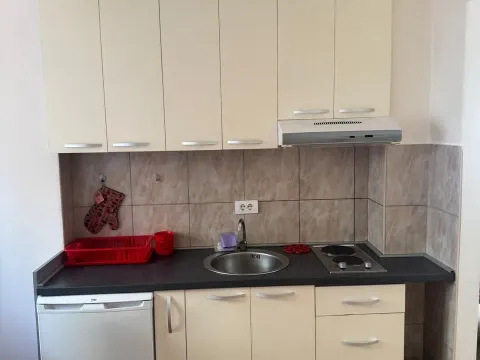 Rent, one bedroom apartment, 29m², Zabjelo, Podgorica - image 4