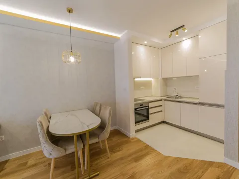 Prodaja, jednosoban stan, 42m², Central Point, Podgorica - image 7