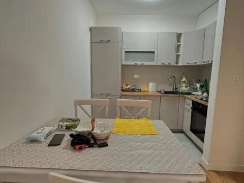 Izdavanje, jednosoban stan, 50m², Central Point, Podgorica - image 3