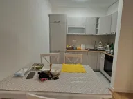 Izdavanje, jednosoban stan, 50m², Central Point, Podgorica - image 3