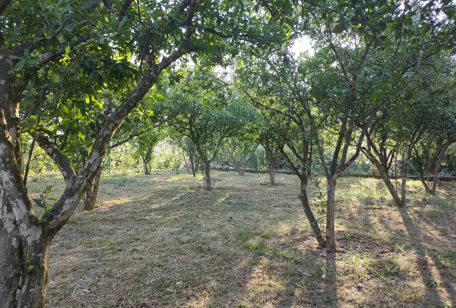 Prodaja, kuća, 180m², Zelenika, Herceg Novi