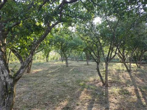Prodaja, kuća, 180m², Zelenika, Herceg Novi - image 20