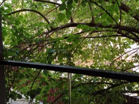 Izdavanje, jednosoban stan, 50m², Zagorič, Podgorica