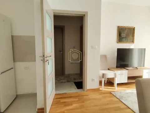 Izdavanje, jednosoban stan, 40m², Zabjelo, Podgorica - image 10