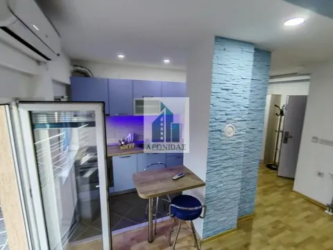 Rent, one bedroom apartment, 36m², Pantelej, Niš - image 6