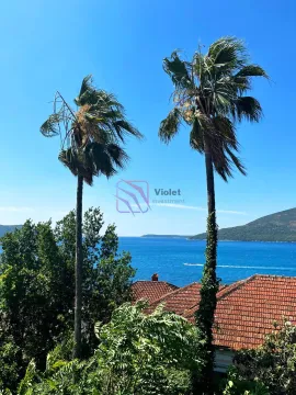 Pogled na more sa palmama i krovovima kuća. - image 14