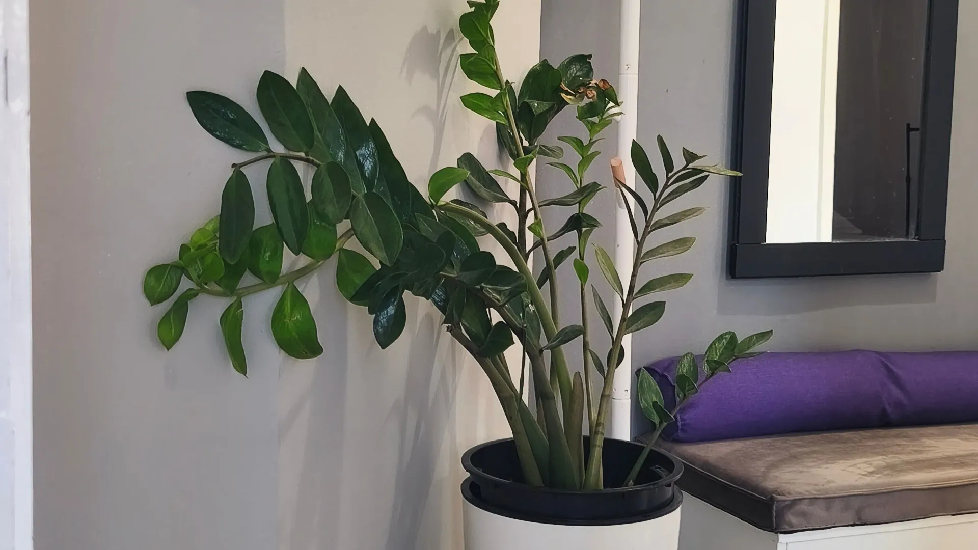Rent, one bedroom apartment, 35m², Preko Morače, Podgorica